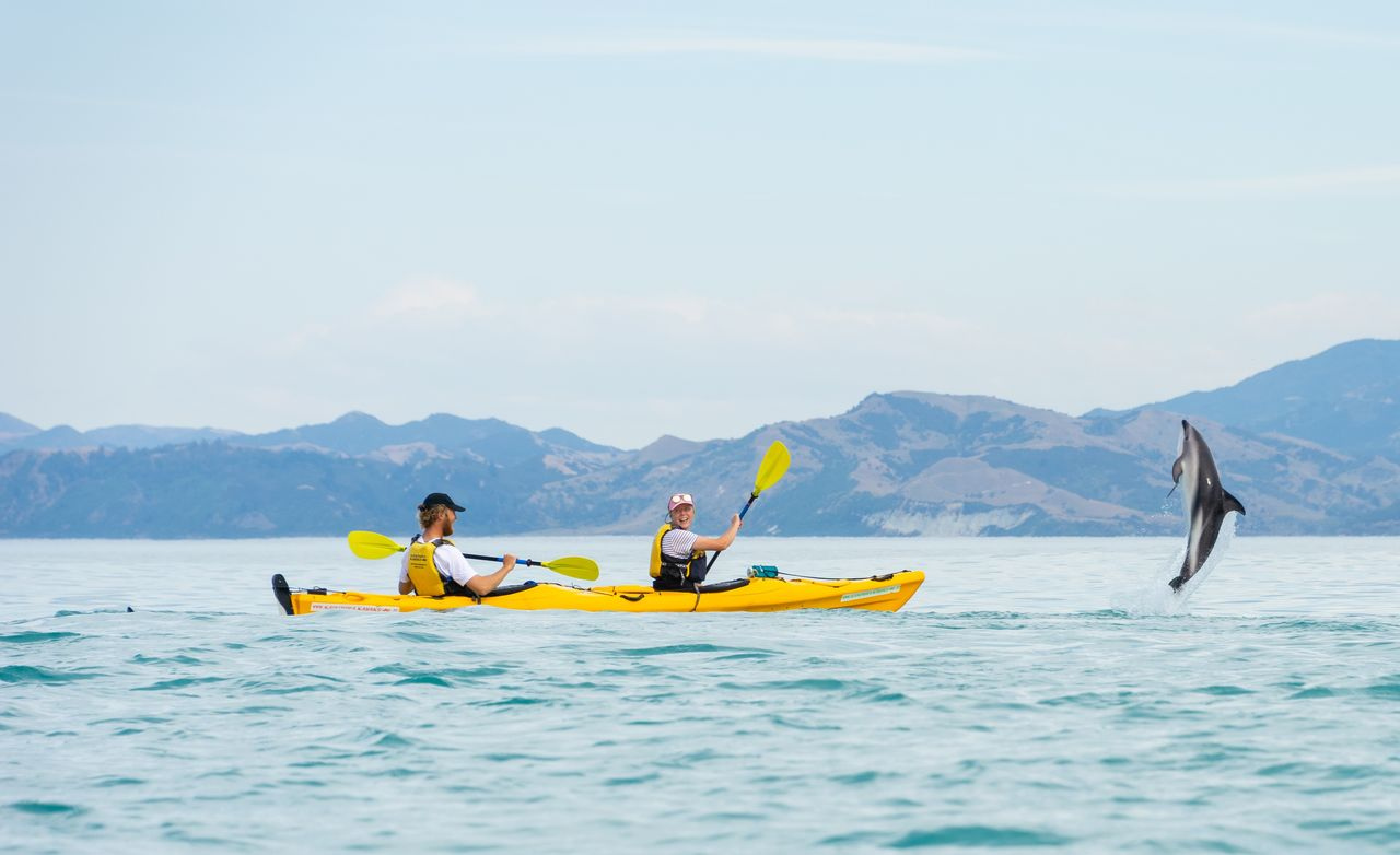 Private Tour Kaikoura Kayaks