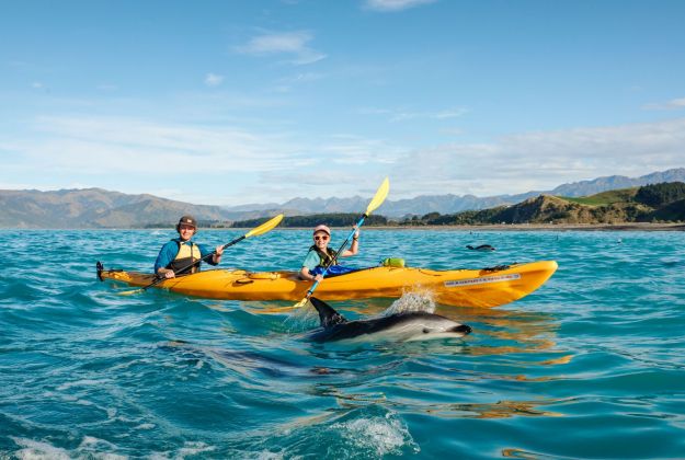 Family Kayaking Tour | Kaikoura Kayaks | New Zealand