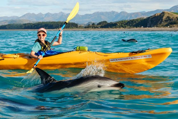 The real boss of Kaikoura Kayaks